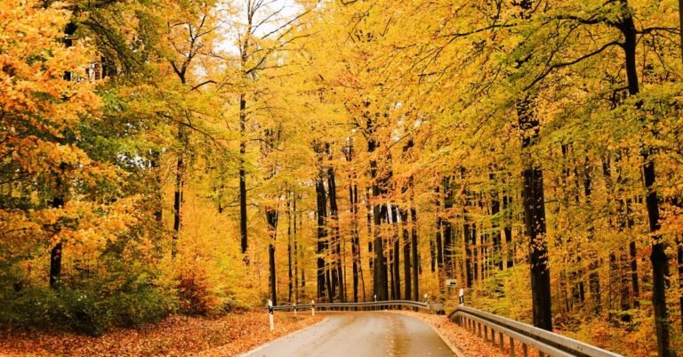 where to travel in october